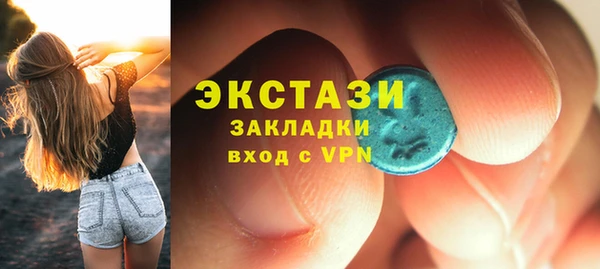 дмт Каменка