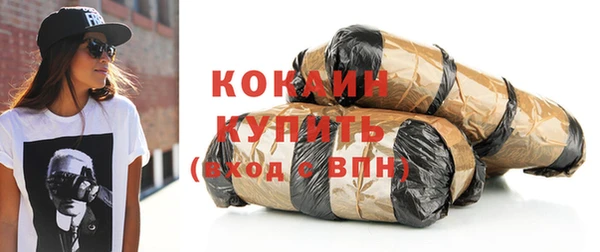 дмт Каменка