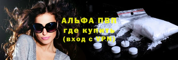 дмт Каменка