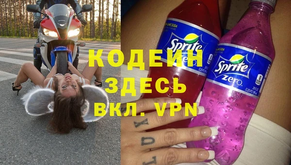 дмт Каменка
