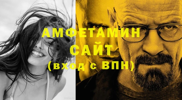 дмт Каменка