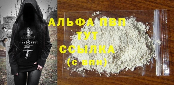дмт Каменка