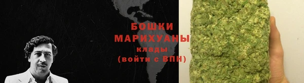 дмт Каменка